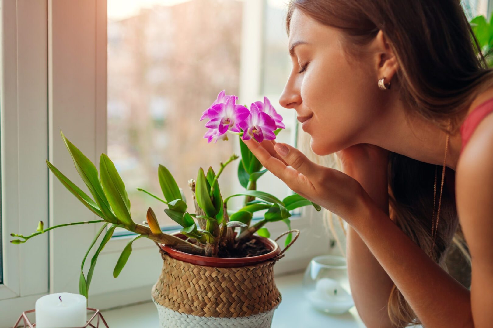 Woman smelling pink orchid by window